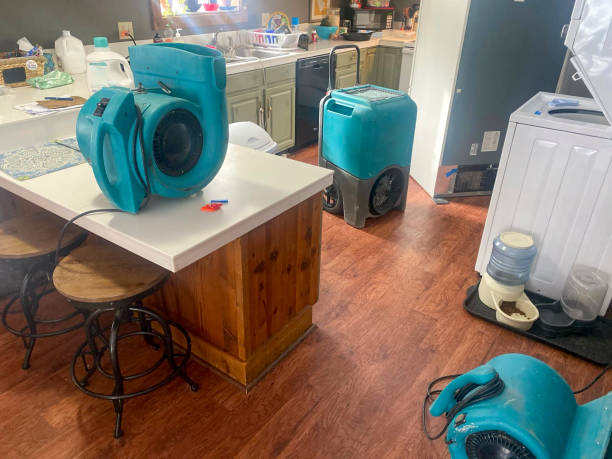 Water damage restoration mold remediation in Landen, OH