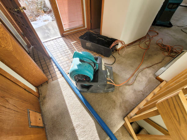 Best Water damage restoration near me  in Landen, OH