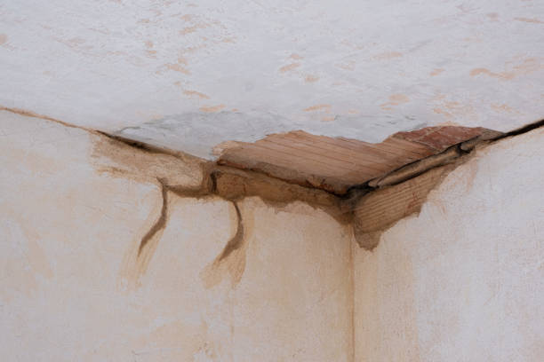 Best Professional water damage repair  in Landen, OH