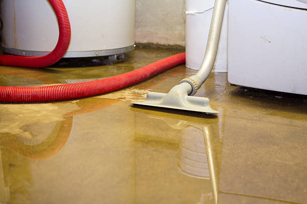 Best 24/7 water damage repair  in Landen, OH