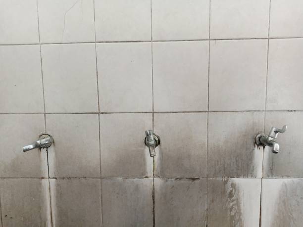 Best Flooded house restoration  in Landen, OH