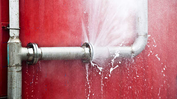 Best Flood damage cleanup  in Landen, OH